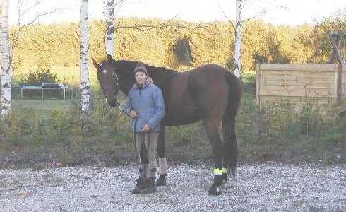 Dansk Varmblod Mølleåens Svetlana - Hvad man dog ikke gør ved de stakkels dyr i en striglekonkurrence. Ja det er en svamp  den har på hovedet :-P - en gang for mange, mange år siden.. billede 32