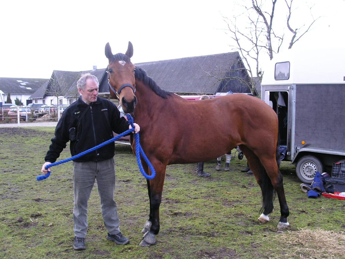 Dansk Varmblod Mølleåens Svetlana - Den gamle far med svetlana 2004 eller 2005 billede 3
