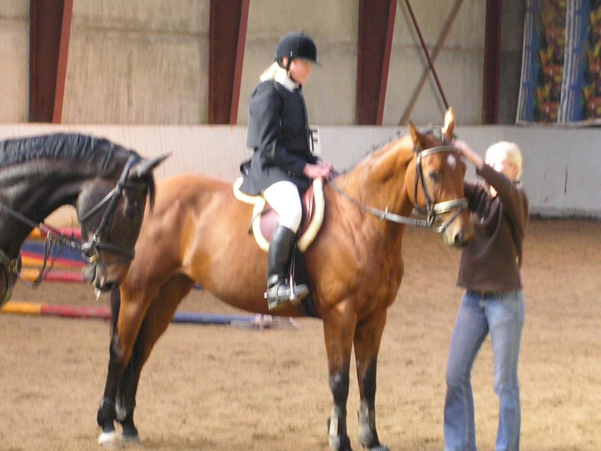 Dansk Varmblod Mølleåens Svetlana - Præmieoverrækkelse 2005-6 stykker :-) billede 33