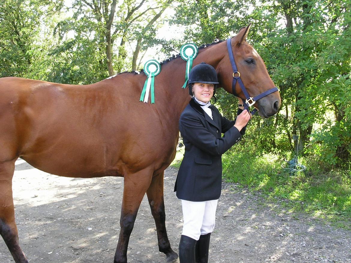 Dansk Varmblod Mølleåens Svetlana - Billede fra første stævne billede 34