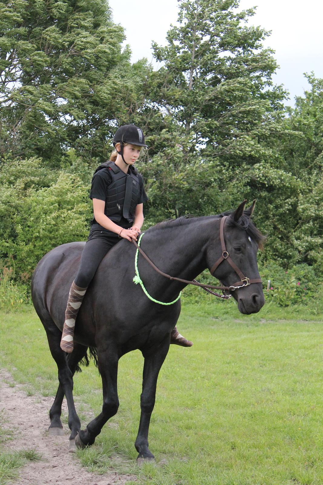 Anden særlig race MartiniQue, ^^min savnede hest - os bidløse <3 billede 28