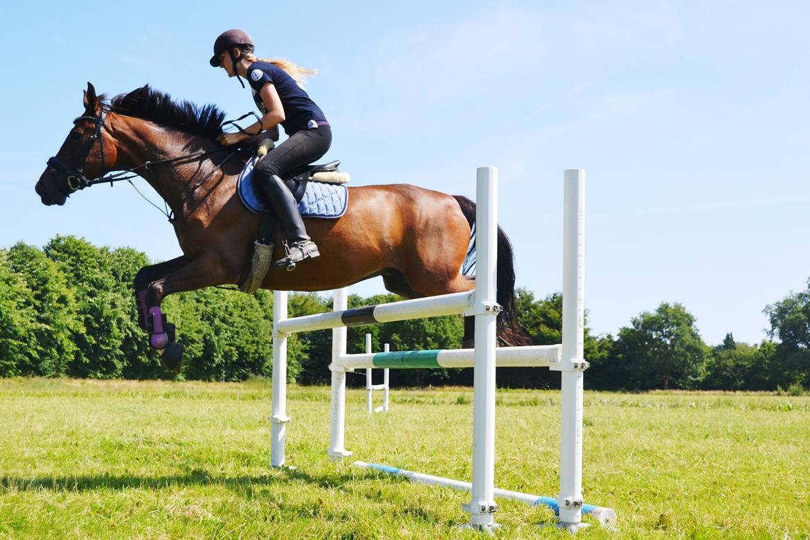 Fuldblod (XX) Fly - Min prins<3 billede 10