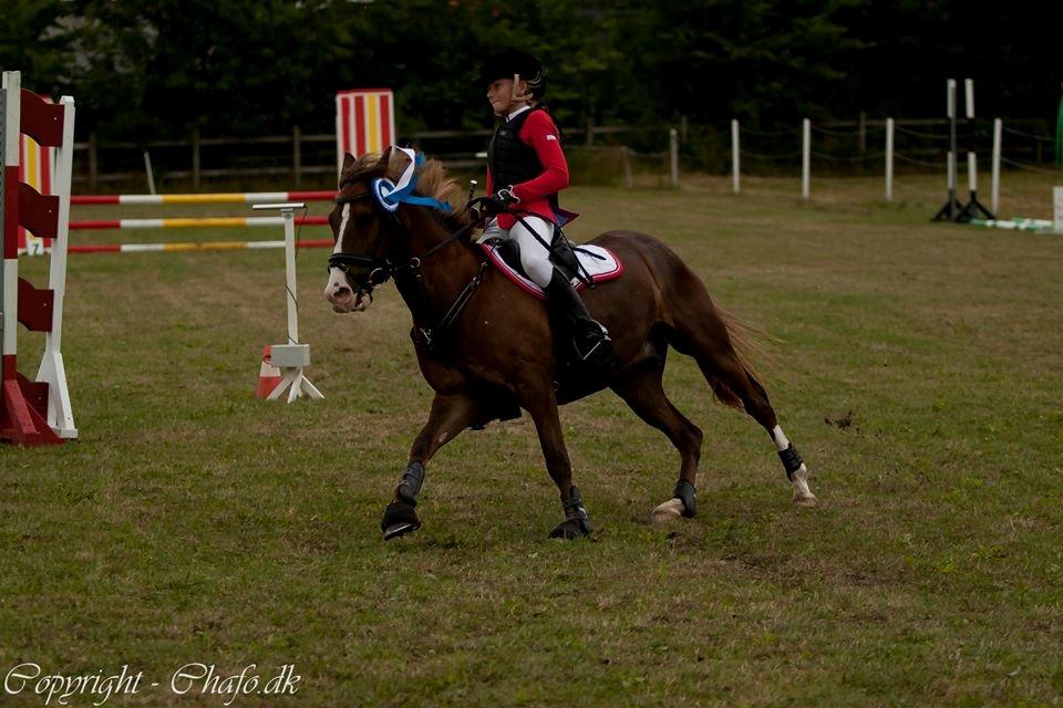 New Forest Koedijks Milano *Låner* - Tak fordi i kiggede med, læg gerne en kommentar, eller bedømmelse! (-:  billede 20