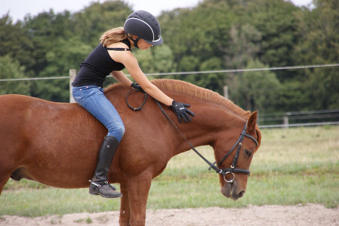 Anden særlig race Fighter *Nu søster´s Pony*<3 - Fighter og jeg uden sadel <3 <3 Han er altså ikke blevet redet længe <3 <3  billede 15