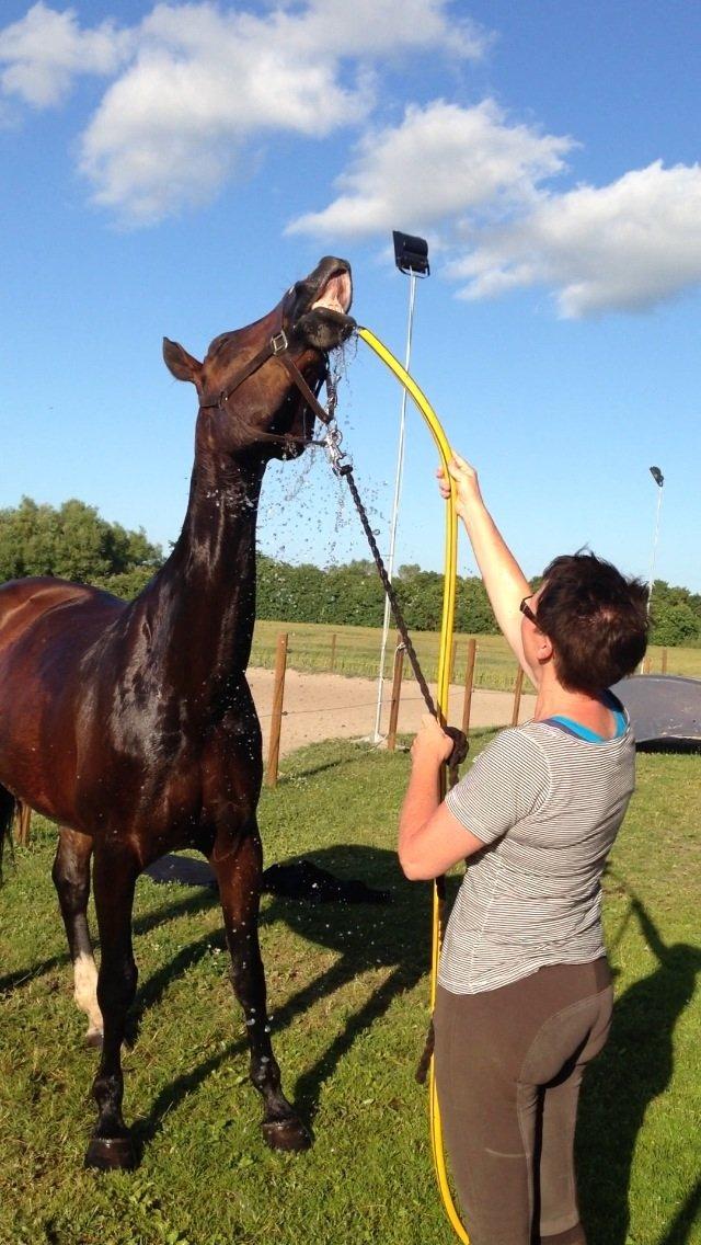 Oldenborg Fie billede 3