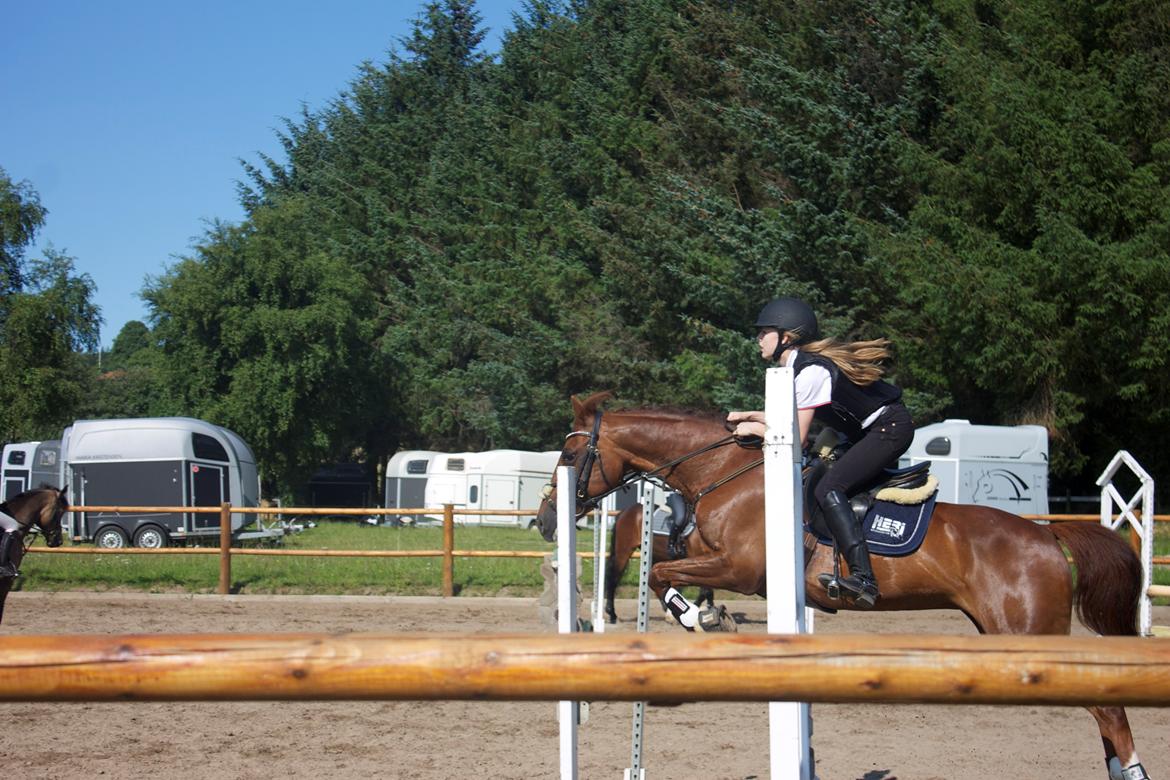 DSP Zoé Bredager billede 2