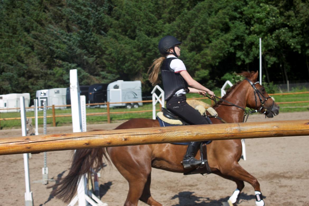 DSP Zoé Bredager billede 3