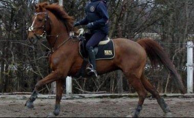 DSP Zoé Bredager billede 4