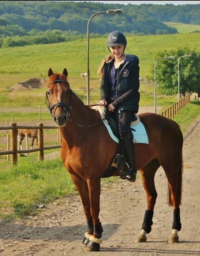 DSP Zoé Bredager billede 5