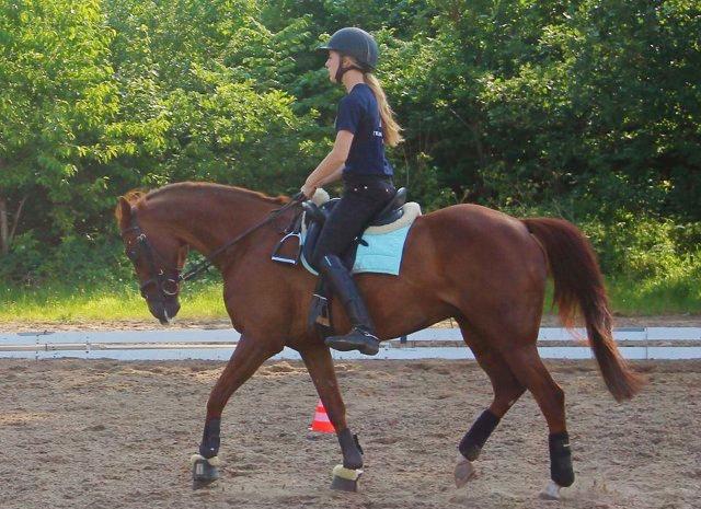 DSP Zoé Bredager billede 6