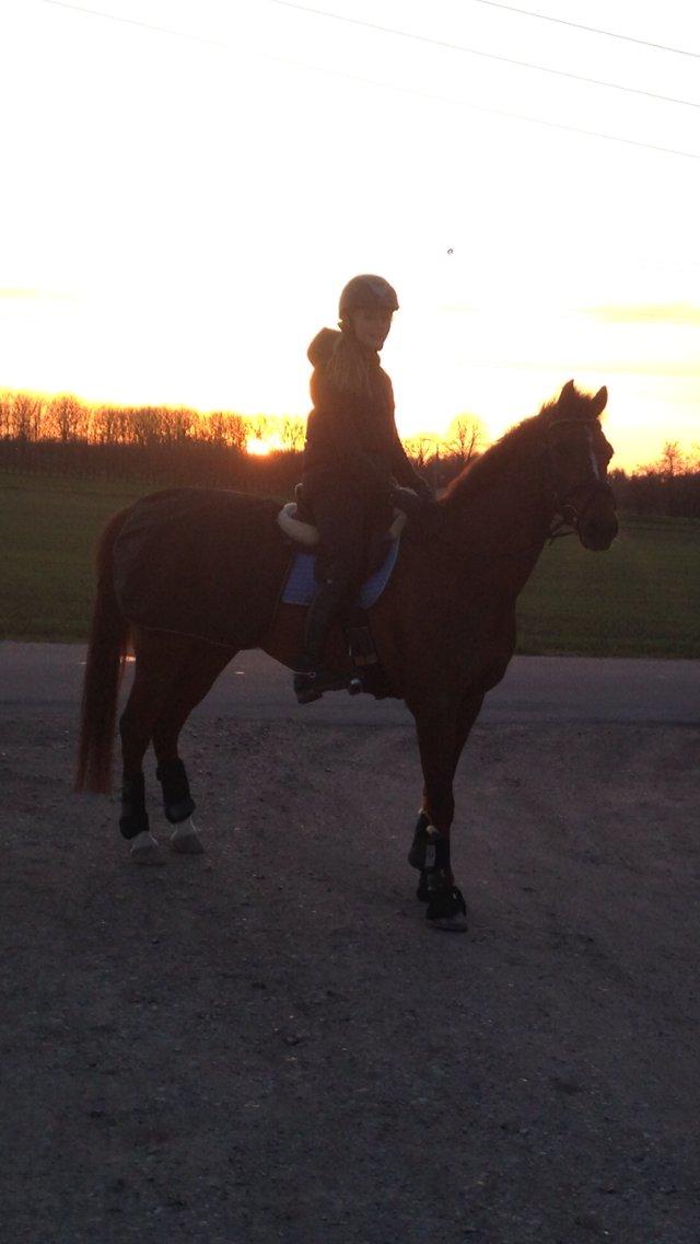 DSP Zoé Bredager billede 10