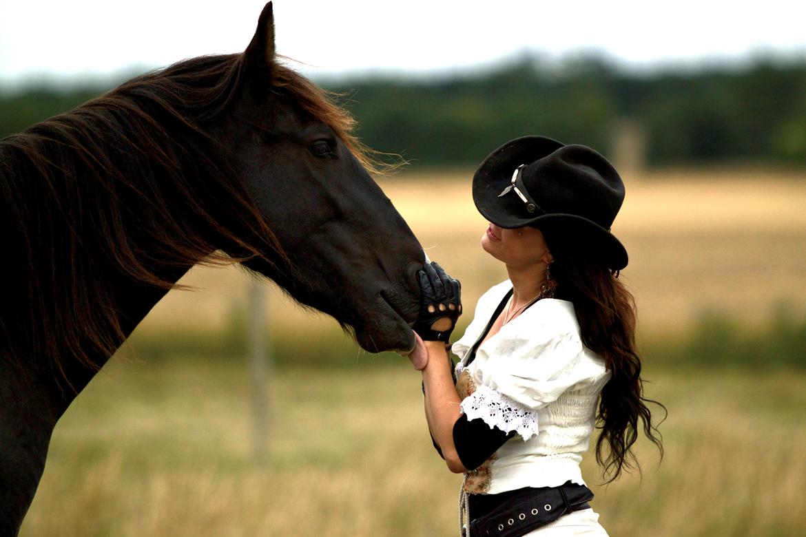 Tobiano Friesian ~Bentley~ af Bølå - www.chafo.dk billede 4