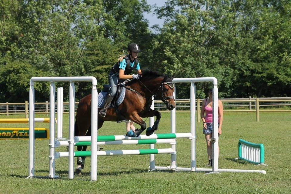 New Forest Øxenborg's Pinocchio - Spring ridelejeren 2013 Tuse Næs Køre- Og Rideforening  billede 11