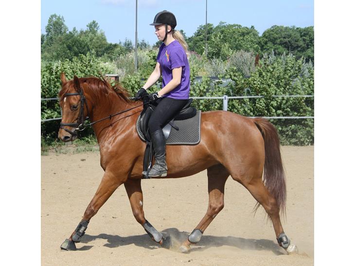 {{currentPhoto.altText}} billede {{currentPhoto.number}}