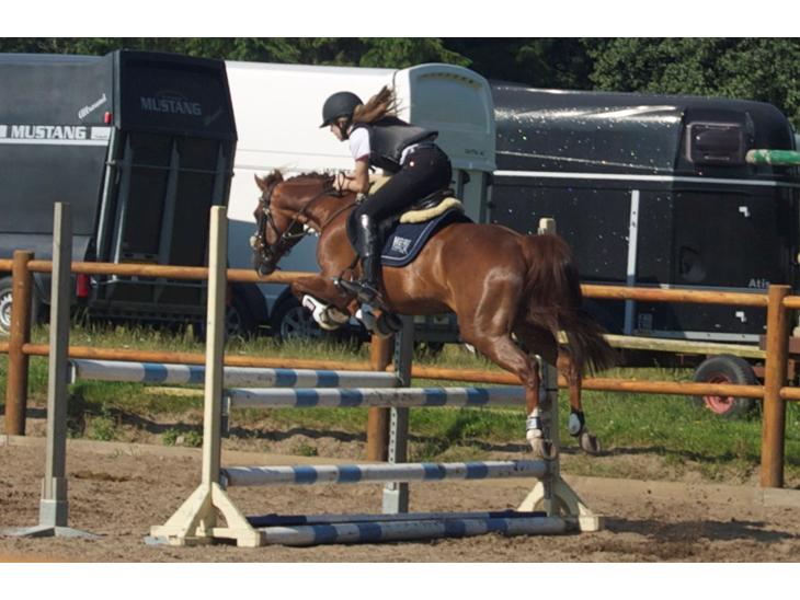 {{currentPhoto.altText}} billede {{currentPhoto.number}}