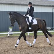 Oldenborg Max Højbo