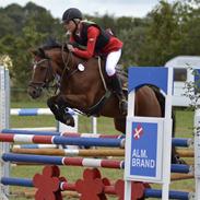 Anden særlig race Tornado - B-PONY