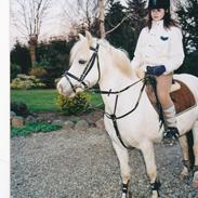 Anden særlig race Silke