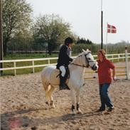 Anden særlig race Silke