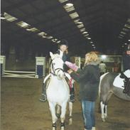 Anden særlig race Silke