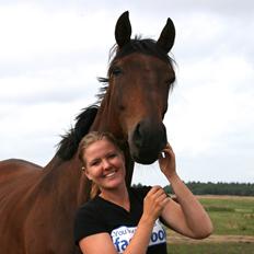 Dansk Varmblod Master's Future