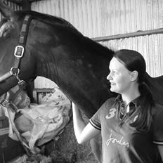 Holstener Mailunds Calua