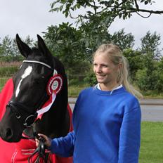 DSP Faithful Little Joy,