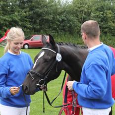 DSP Faithful Little Joy,