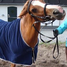 DSP Amanda af Bakholm