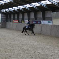 Anden særlig race Victoria