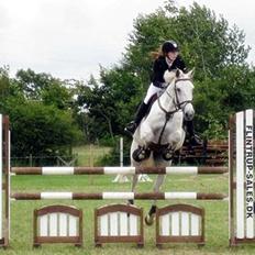 Ungarnsk Varmblod  Favourite (BO!)