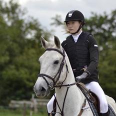 Ungarnsk Varmblod  Favourite (BO!)