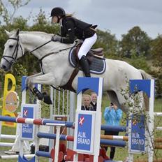 Ungarnsk Varmblod  Favourite (BO!)