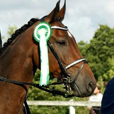 Holstener Pretty woman