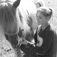 Anden særlig race Morelsgårdens Trold *Himmelhest*