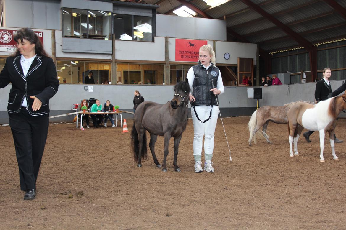 Belgisk Miniature Kogsbølle Pepsi Light billede 15