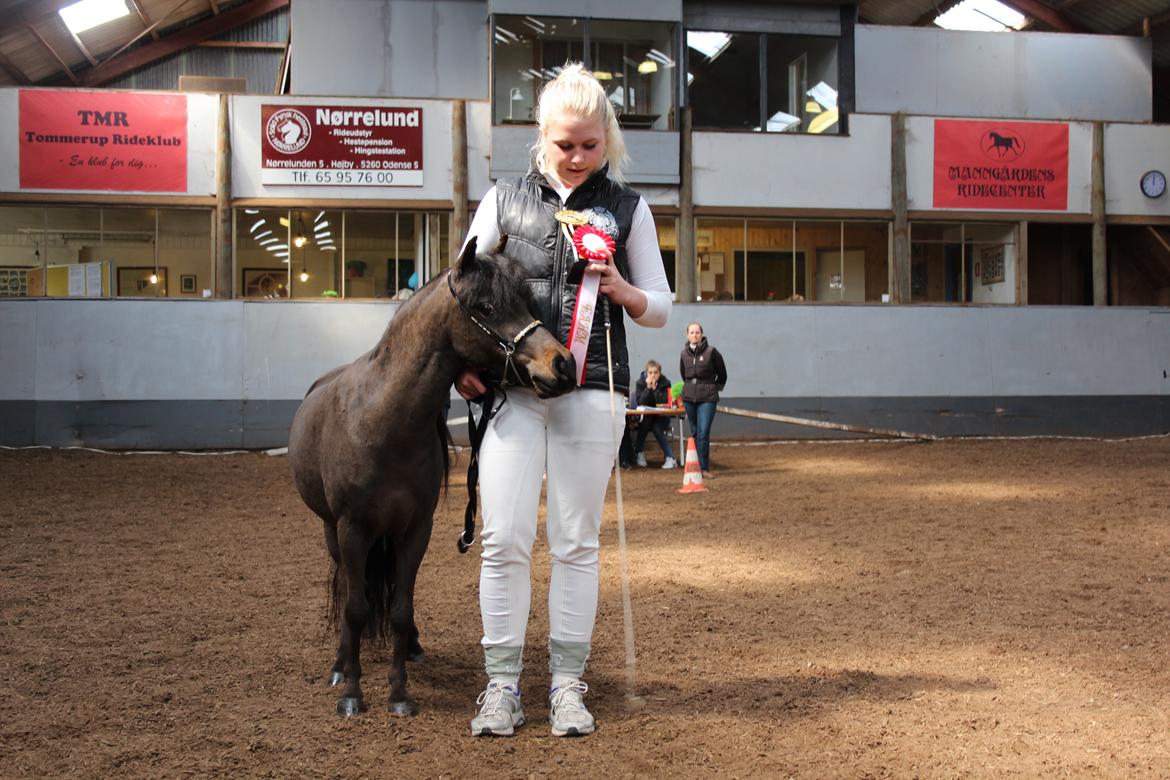 Belgisk Miniature Kogsbølle Pepsi Light billede 17