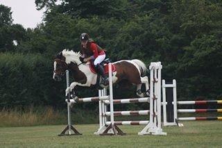 Pinto Sheroc Højgård billede 14