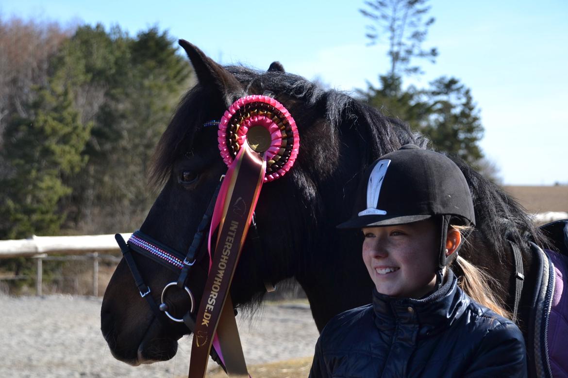 Hollandsk Sportspony Betje (Baby) billede 14