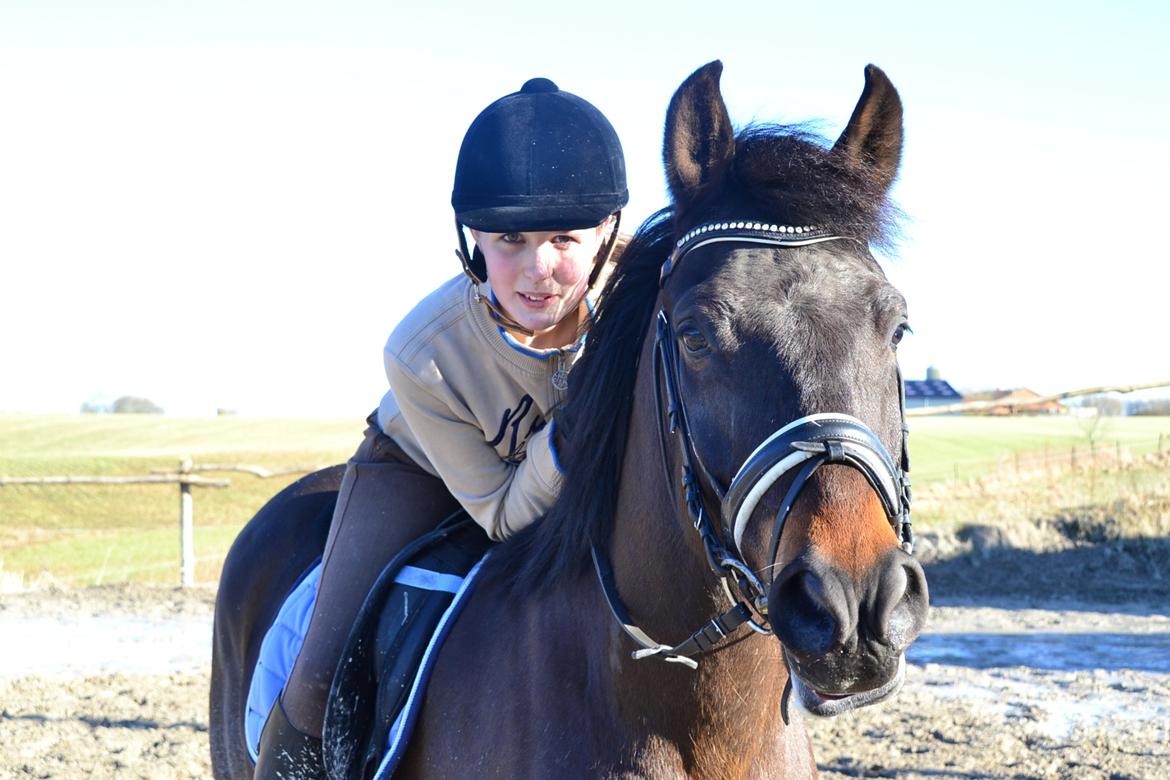 New Forest Meldgaardens Sir Duncan - B-pony - to gode venner. billede 15