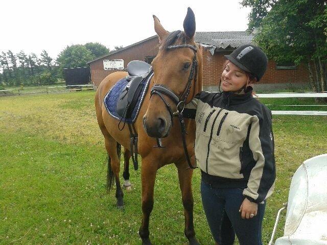 Dansk Varmblod Fanaldo <3<3 - da jeg prøvede ham billede 2