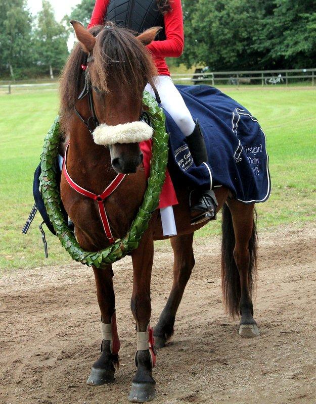 Gotlandsruss Eruss <3 billede 2