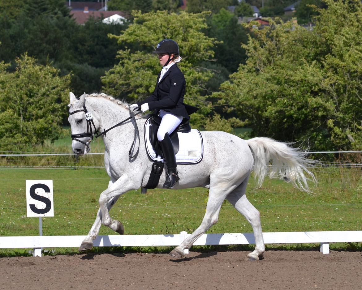 Connemara Hesselholt's Casano B-pony billede 8