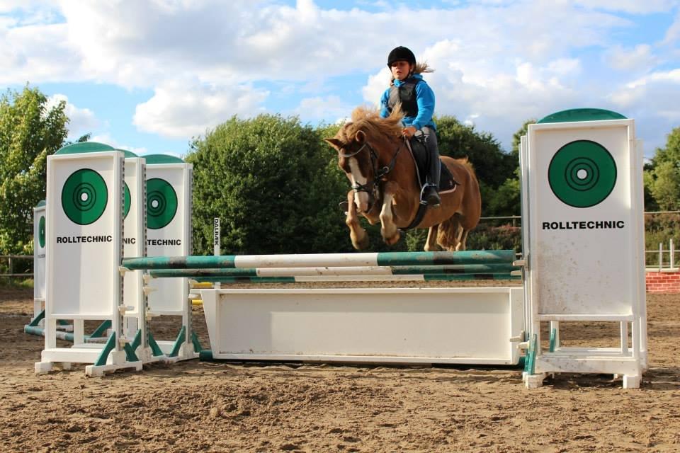 Tysk Sportspony Sultan(Sulle) <3 - 90 på Trippelbarren! <3 billede 5