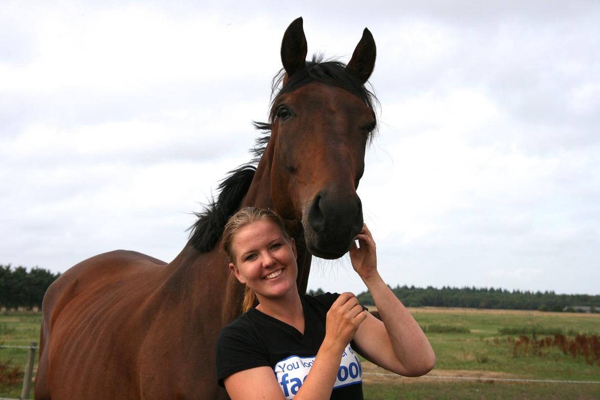 Dansk Varmblod Master's Future billede 3