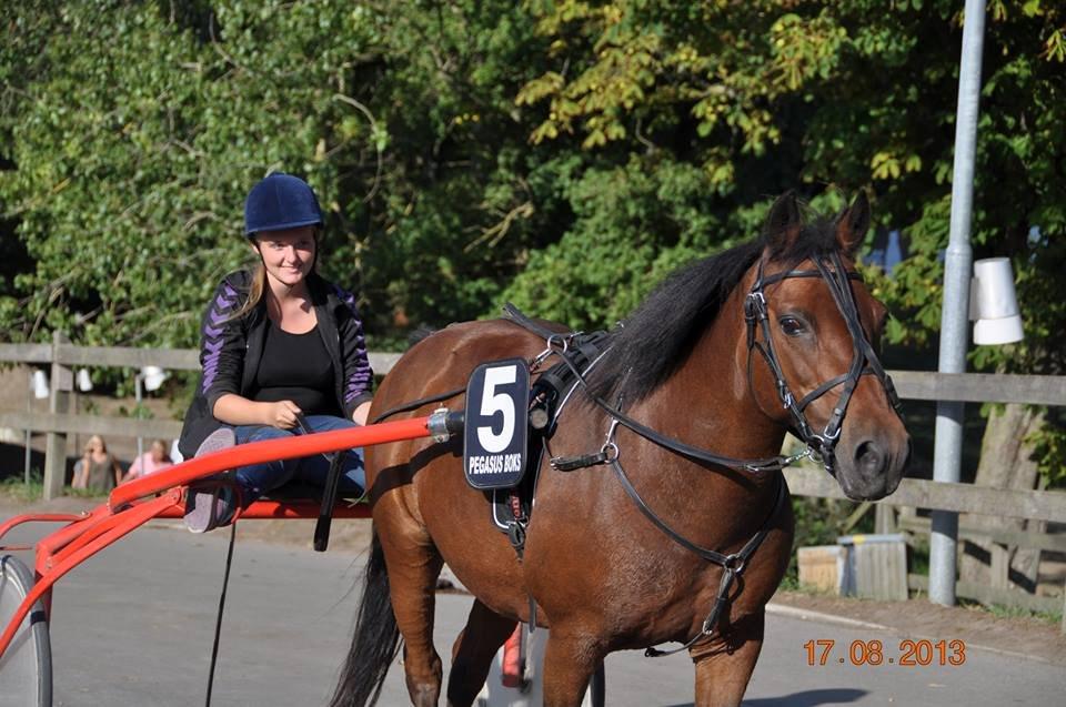 New Forest Cayenne  - Bassen efter løbet<3 billede 15