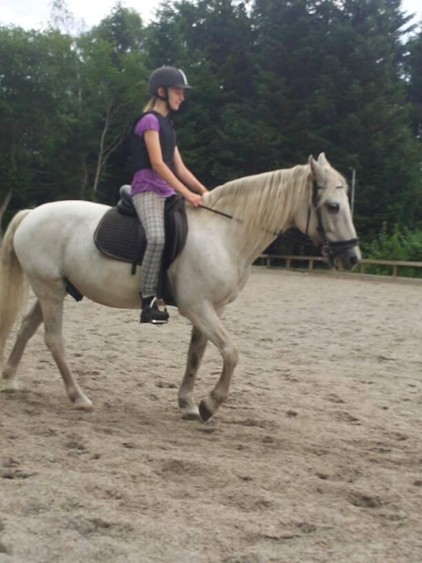 Connemara Flash Point billede 13