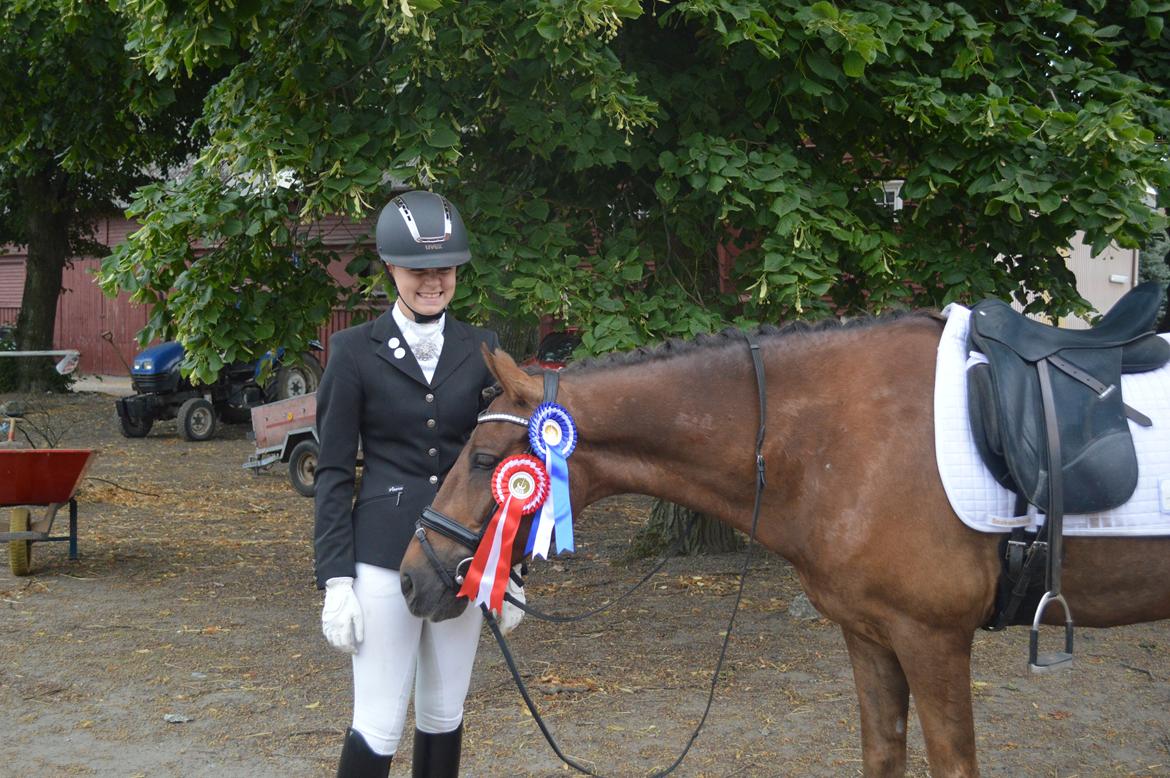 New Forest Elmholts Rekord billede 19