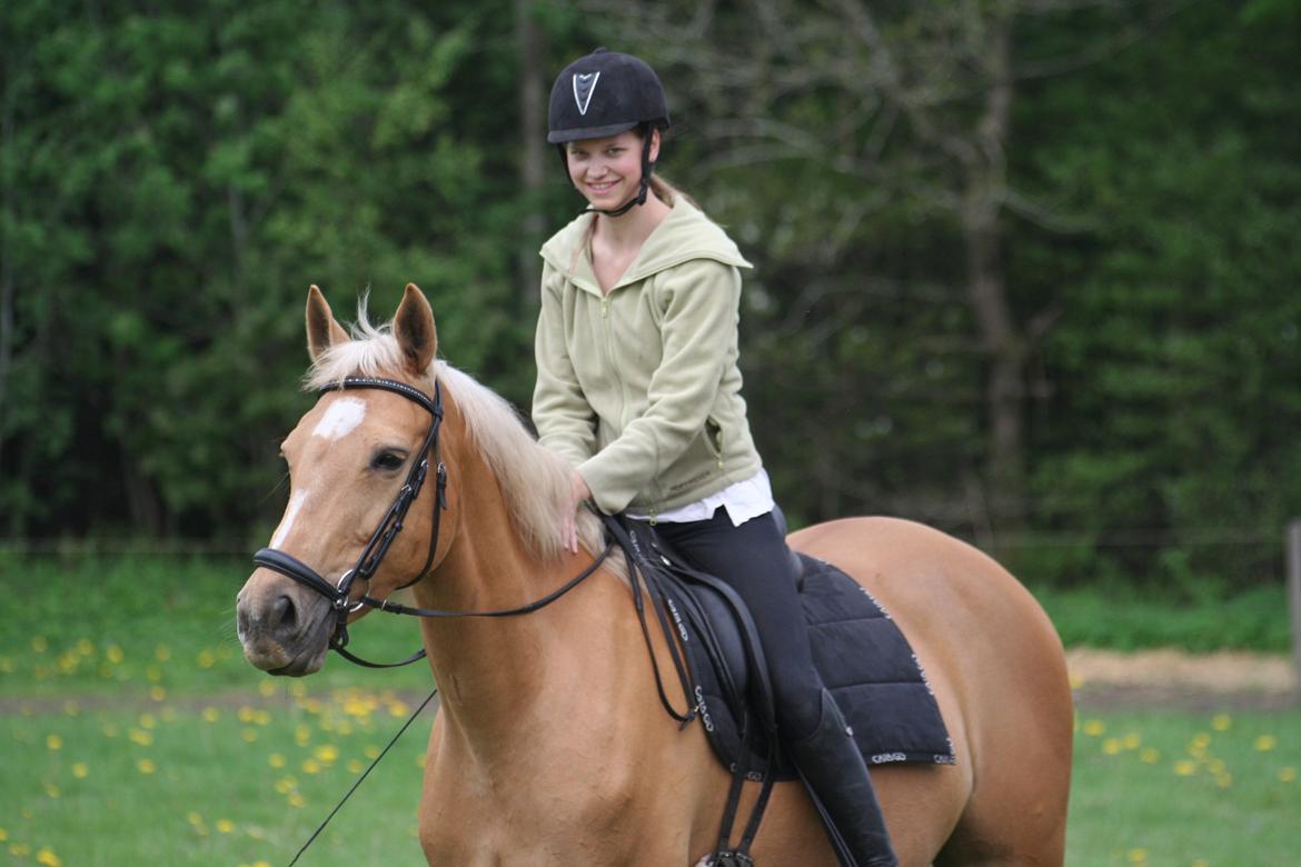 Palomino Chess Stauslykke billede 12