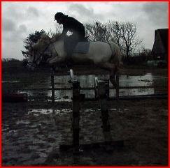 Anden særlig race April billede 18